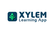 Xylem
